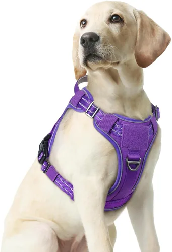 Miniatura 56 de rabbitgoo - Arnés para perros pequeño sin tirones, chaleco táctico de servicio con Molle y asa de control, arnés militar ajustable y reflectante