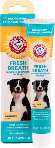 Arm & Hammer Pasta de dientes enzimática de aliento fresco para perros, sabor vainilla y jengibre, segura para cachorros y perros adultos, gel