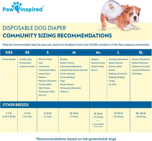 Miniatura 2 de Paw Inspired 20 unidades de pañales desechables para perros Pañales para perras con ultra protección Pañales para perros en celo, micción por