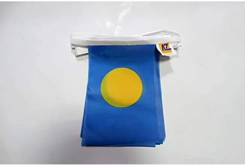 Miniatura 7 de AZ FLAG Señal marítima internacional 42.7 ft BUNTING Flag 40 banderas 9'' x 6'' - Banderas de cuerda del alfabeto náutico 5.9 x 8.3 in