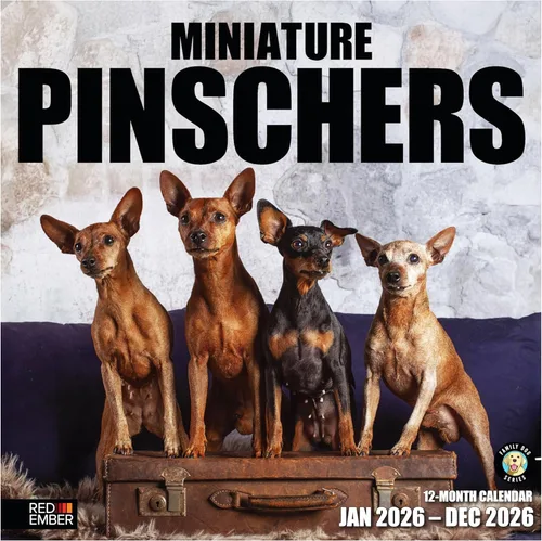 Miniatura 35 de RED EMBER Calendario de pared 2025 con diseño de cachorros de 12 meses, 12 x 24 pulgadas, abierto, papel grueso y resistente, para regalo