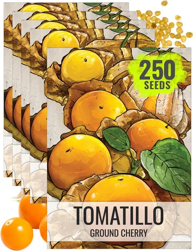 Miniatura 14 de Seed Needs Semillas de tomatillo para plantar tomatillos Grande Rio Verde, reliquia sin OMG y sin tratar, cultiva un huerto al aire libre cultivado