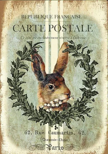 Weasval Cartel de estaño vintage con diseño de conejo francés, divertido para el hogar, familia, amigo, regalo, baño, patio, bar, pub, 8 x 12