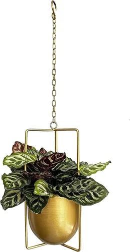 Miniatura 12 de Colgador de Plantas de Metal, Macetas Colgantes para Interiores, Macetas Colgantes para Flores (Negro)