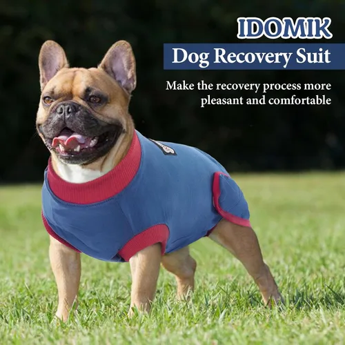 Miniatura 7 de IDOMIK Traje de recuperación para perros – Mono esterilizador femenino y masculino, ajustable antilamer, transpirable y cómodo, talla S, rayas azules