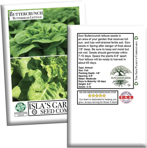 Miniatura 7 de Buttercrunch - Semillas de lechuga Butterhead para plantar, 1000 semillas tradicionales por paquete, semillas de jardín de Isla