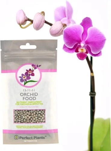 Perfect Plants - Alimento para orquídeas – Bolsa resellable de 5 onzas – Potenciador de floración para todo tipo de orquídeas – Nutrientes para una