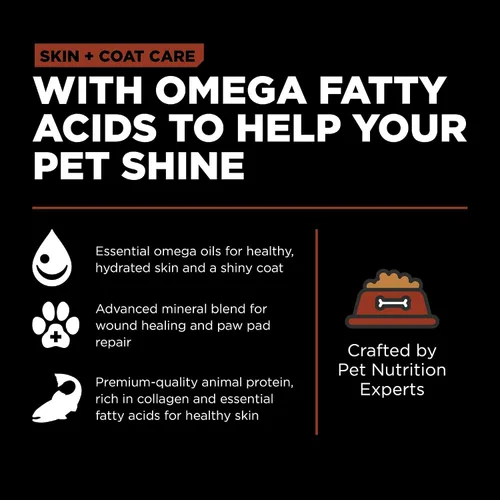 Miniatura 5 de Go! Solutions Skin + Coat Care - Alimento seco para perros de raza grande con granos, sin pollo, croquetas saludables, glucosamina y condroitina