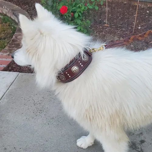 Miniatura 4 de BlazingPaws® Florington - Collar de perro del oeste de cuero negro grueso de lujo de 2 pulgadas de ancho para perros grandes, collar acolchado
