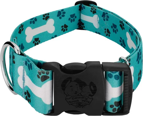 Country Brook Petz - Collar de lujo Oh My Dog - Colección Dog's Life con 1 diseño divertido (1 1/2 pulgadas, mediano)
