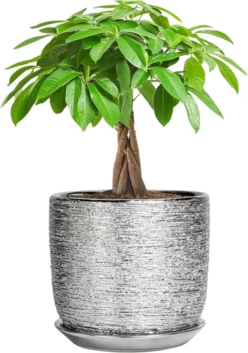 Miniatura 10 de Maceta de Cerámica para Plantas de Interior de 5 Pulgadas - Maceta Redonda para Plantas Suculentas con Agujero de Drenaje y Platillo, Decoración