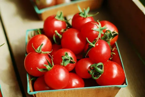 Miniatura 7 de MOCCUROD - 100 semillas de tomate cereza para interiores, semillas de herencia vegetal rara de tomate enano rojo y amarillo