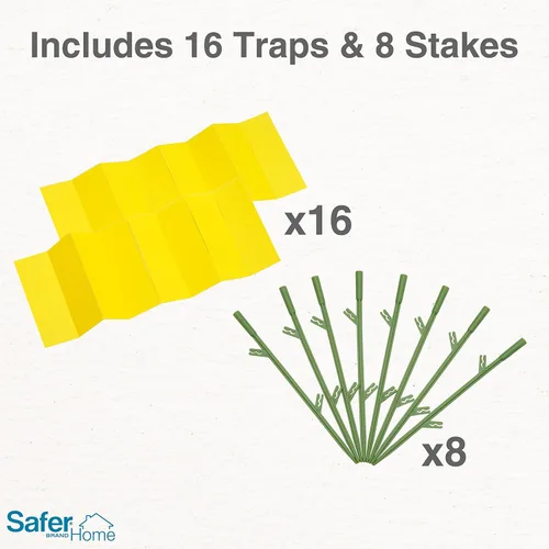 Miniatura 7 de Trampas adhesivas Safer Brand Home SH5026 para plantas de interior - 16 trampas incluidas - Controla áfidos, moscas blancas, moscas de la fruta