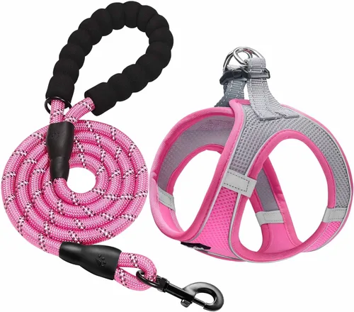Miniatura 8 de haapaw - Arnés para perro con correa, arnés reflectante, ajustable y sin tirones para cachorros con chaleco acolchado para perros Negro