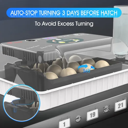 Miniatura 5 de 12 Incubadoras Automáticas de Huevos para Incubar Huevos con Control Inteligente de Temperatura, Volteador Automático, Ovoscopía LED para Huevos