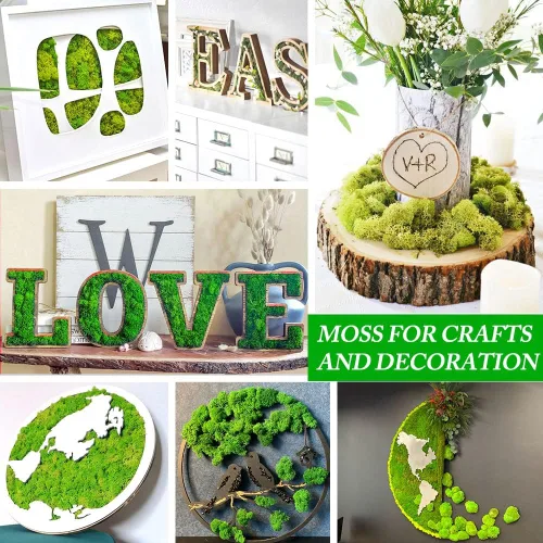 Miniatura 4 de Musgo preservado para manualidades, musgo de reno azul para plantas en maceta, decoración de musgo decorativo para arte de pared, musgo seco