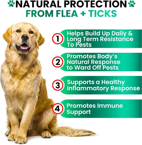 Miniatura 4 de Prevención de pulgas y garrapatas masticables para perros, fabricado en Estados Unidos, suplemento natural para pulgas y garrapatas, píldoras orales