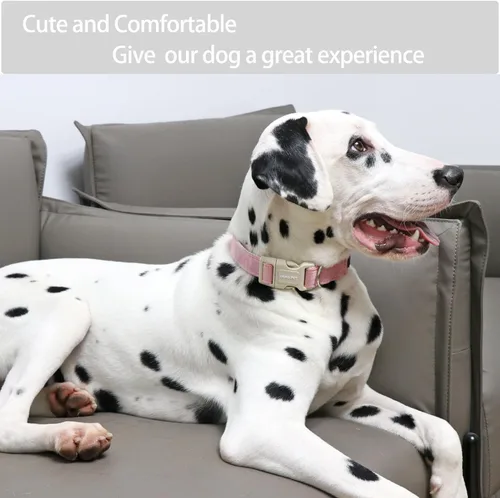 Miniatura 4 de ARING PET Collar rosa para perro, lindo collar para perros pequeños, collares de algodón ligero para bodas y mascotas con hebilla de liberación