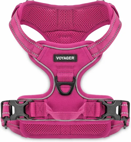 Voyager - Arnés con doble correa para perro, con control sin tirones, ajustable, suave pero fuerte para mascotas, para perros medianos y grandes,