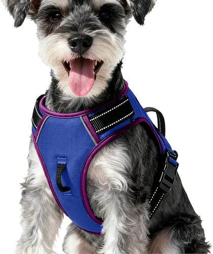 Miniatura 42 de Arnés para perro sin tirones, chaleco reflectante ajustable y acolchado para mascotas con asa de fácil control, fácil de llevar con nudo elegante