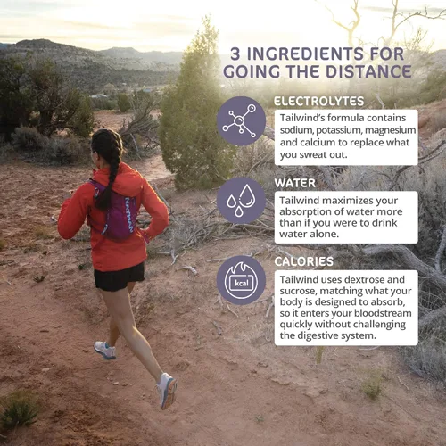 Miniatura 3 de Tailwind Nutrition Endurance Fuel, Polvo de bebida deportiva de porción individual con electrolitos, sin OGM, libre de soja, lácteos y gluten, apto