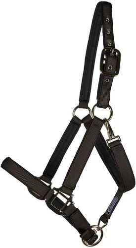 Miniatura 10 de Dura-Tech Cabestro de caballo de nailon totalmente acolchado Cabestro para caballo diseñado para evitar rozaduras Corona y bordillo de caballo