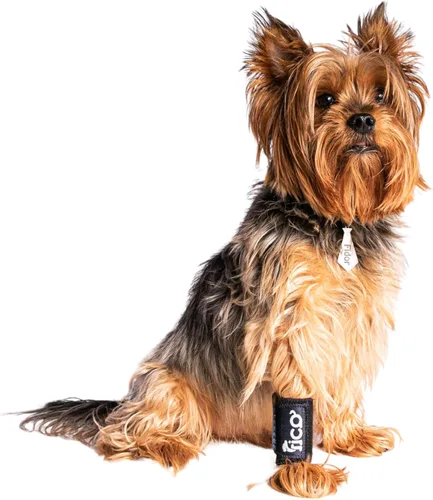 Soporte de pierna delantera para perros y gatos, soporte carpiano ajustable para recuperación de lesiones, alivio del dolor y estabilización de las