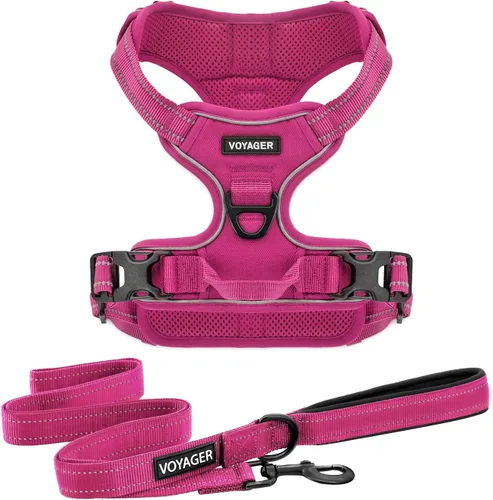 Miniatura 18 de Voyager - Arnés con doble correa para perro, con control sin tirones, ajustable, suave pero fuerte para mascotas, para perros medianos y grandes