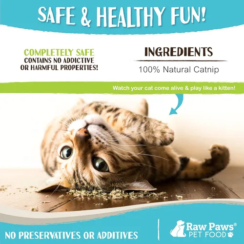 Miniatura 4 de Raw Paws Hierba Gatera Fresca para Gatos, 1-oz (2 Tazas) - Uso para Juguetes de Hierba Gatera Recargables para Gatos - Hierba Gatera Seca Natural