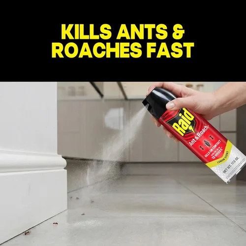 Miniatura 2 de Raid Ant & Roach Killer Spray para insectos enumerados, sigue matando durante semanas, aroma a limón, 17.5 onzas