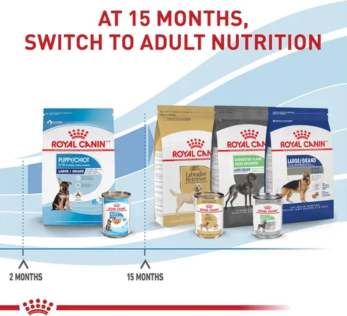 Miniatura 6 de Royal Canin Size Health Nutrition - Alimento para perros grandes en rodajas finas en salsa, 13 onzas (paquete de 6)