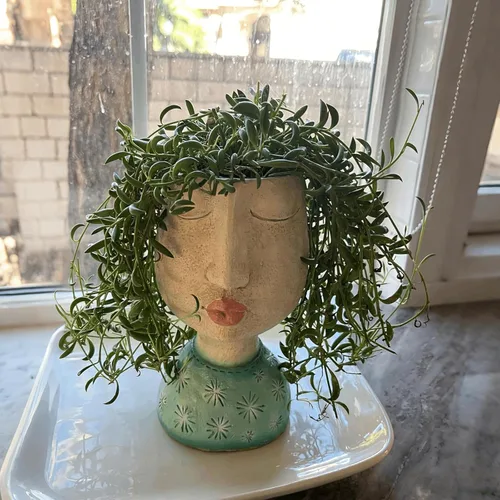Miniatura 3 de DiliComing Macetas de Cara de Resina - Maceta de 8 Pulgadas para Interiores y Exteriores con Orificio de Drenaje para Plantas Suculentas, Decoración
