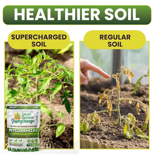 Miniatura 3 de Hongos micorrízicos con bacterias beneficiosas, tricoderma, algas marinas, melaza, yuca, Smart Grower Supercharge Potenciador de raíces de plantas