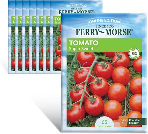 Ferry-Morse Online Edition Tomato Supersweet 100 semillas híbridas – Alta tasa de germinación, sin OGM – Paquete de 8 Tomato Supersweet 100 Hybrid