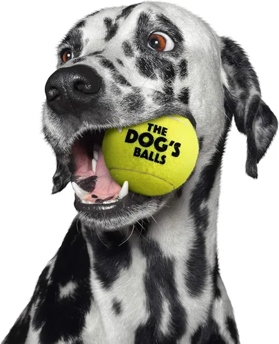 Miniatura 3 de The Big Dog's Balls - Pelotas de tenis para perros grandes, color amarillo, paquete de 3, pelotas de fieltro no abrasivas, núcleo de goma