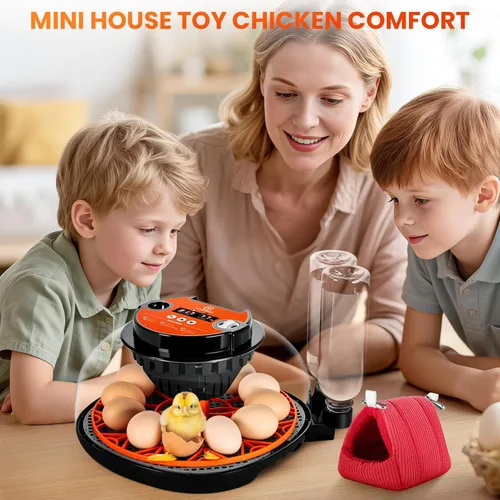 Miniatura 7 de Incubadora de 12 huevos para incubar, pollo, pato, codorniz y ganso, girador automático de huevos, control de temperatura y humedad, pantalla LED
