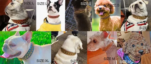 Miniatura 4 de Collar de perro con tachuelas, collar de piel sintética antimordeduras para perros pequeños, medianos y grandes (azul, L)