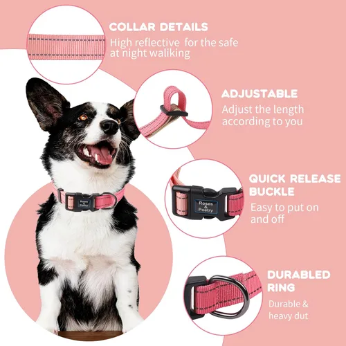 Miniatura 2 de Roses&Poetry Juego de Collar y Correa Rosa para Perro Pequeño, Juego de Correa y Collar Reflectante para Cachorros, Collares Duraderos Ajustables