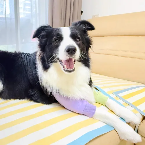 Miniatura 6 de Coderas para perros, rodilleras, tratamiento de callos para heridas, patas delanteras para dejar de lamer, perros medianos y grandes, L, color morado