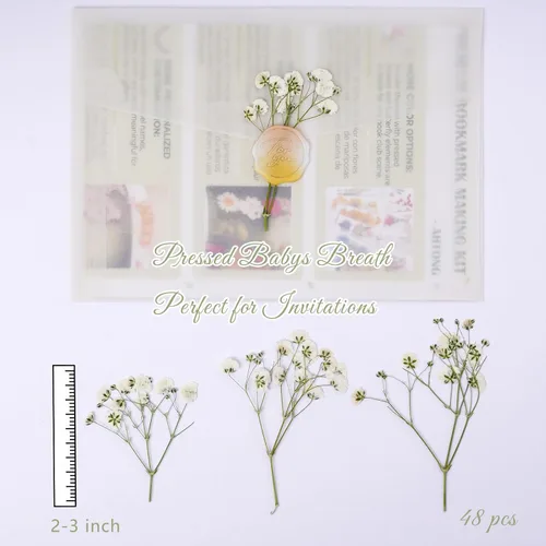 Miniatura 2 de 48 mini flores naturales secas prensadas para el aliento del bebé para decoración de pasteles, invitaciones de boda, flor de gypsophila seca real