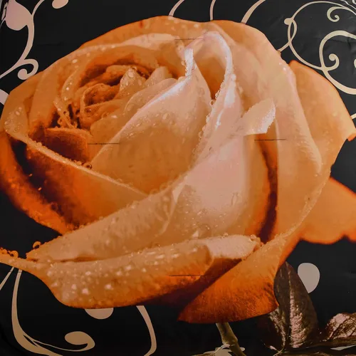 Miniatura 7 de Xruibed Juego de edredón floral tamaño King de 7 piezas en una bolsa, edredón de flores de rosa naranja con juego de sábanas de microfibra suave