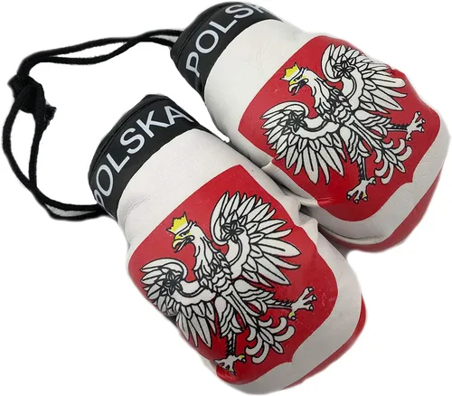 Miniatura 19 de Mini guantes de boxeo para colgar en el espejo del coche (Camerún)