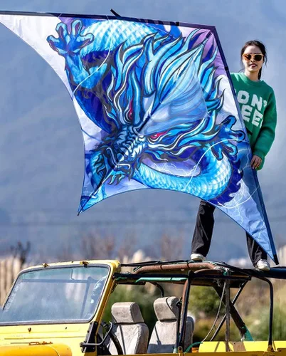 Miniatura 9 de Kites - Cometa gigante de playa para adultos, muy fácil de volar, adecuada para niños y adultos, para la playa/fiesta de kite/campo/parque