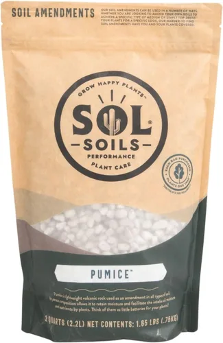 Miniatura 8 de Sol Soils Perlita gruesa para plantas, enmienda ligera y totalmente natural de suelo de vidrio volcánico para mejorar el drenaje y la aireación, 2