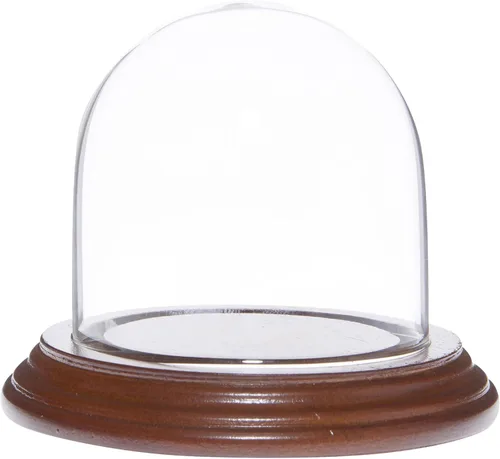 Miniatura 6 de Plymor Cúpula de exhibición de cristal de 3 "x 3" (base de chapa de caoba oscura)