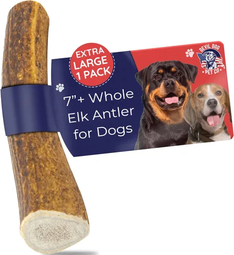 Devil Dog Pet Co. Cornamentas de alce para perros, extra grandes 17,8 cm+, 1 paquete, grado A, masticable duradero para masticadores agresivos, asta
