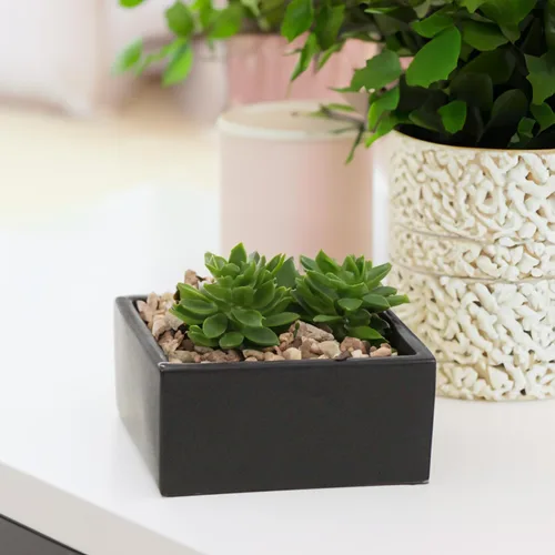 Miniatura 19 de WGV - Jarrón de cerámica con bloque a granel, ancho de 6 pulgadas, alto 4 pulgadas, elegante maceta cuadrada corta, floral, terrario, cómoda