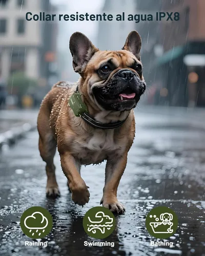 Miniatura 4 de Collar de choque para perro, collar de entrenamiento para perros de 4500 pies con control remoto, IPX8 impermeable, collar eléctrico para perro