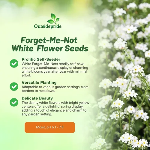 Miniatura 3 de Outsidepride White Forget Me Not Seeds - 5000 semillas de flores perennes de bajo crecimiento, auto-siembra para plantar flores blancas densas