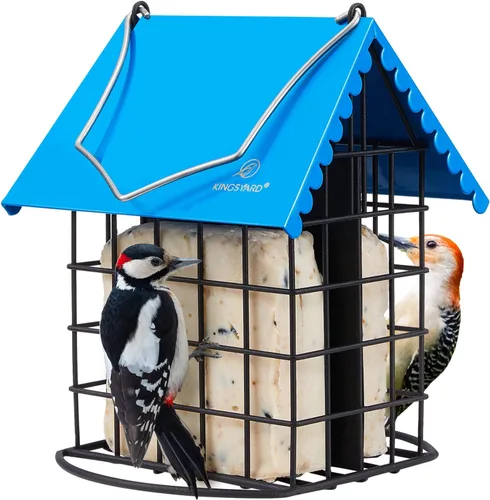 Miniatura 9 de Kingsyard Comedero doble de sebo para pájaros con techo a prueba de inclemencias del tiempo y percha, todo de metal, comedero de sebo para pájaros
